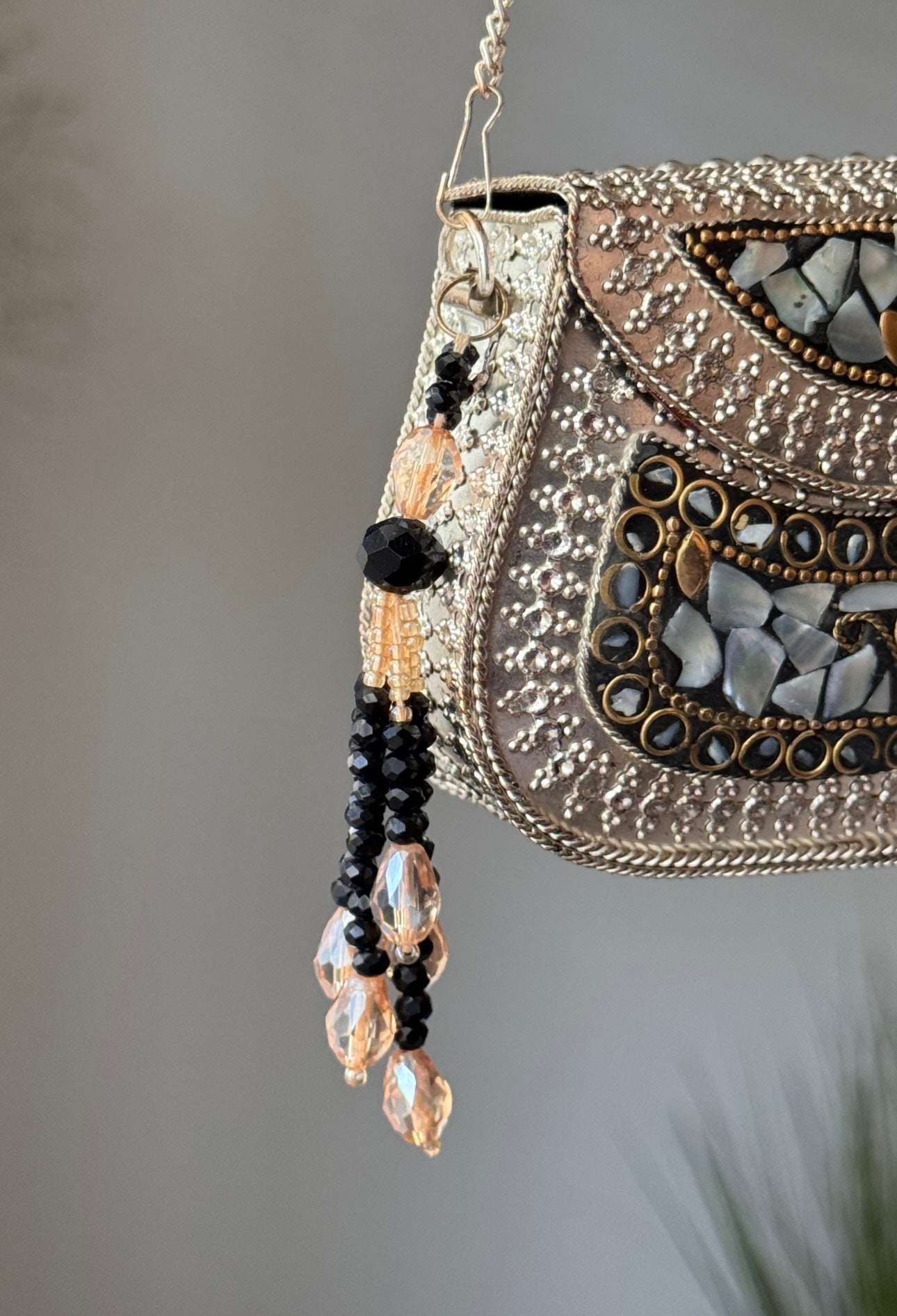 TASSEL 3