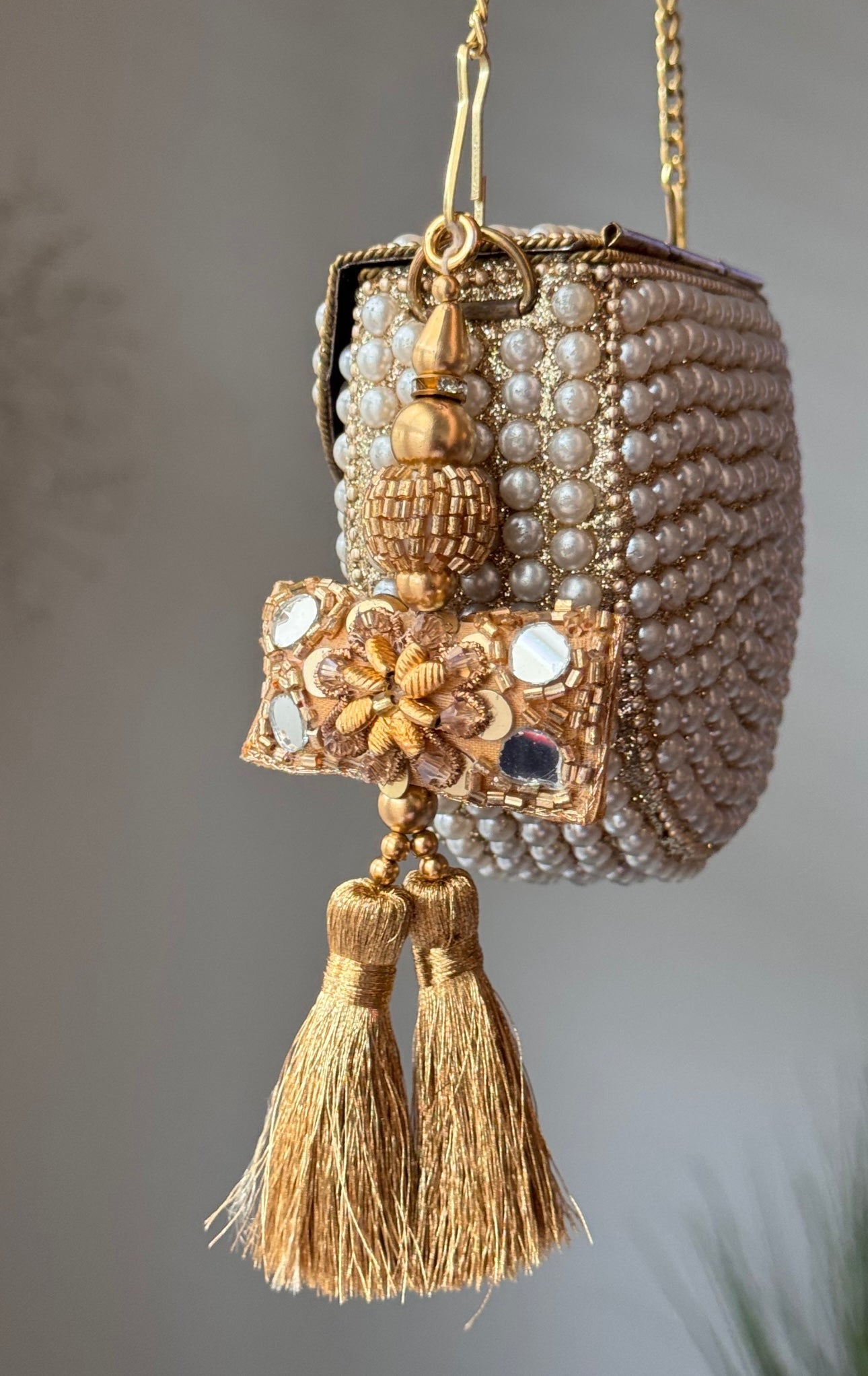 TASSEL 5