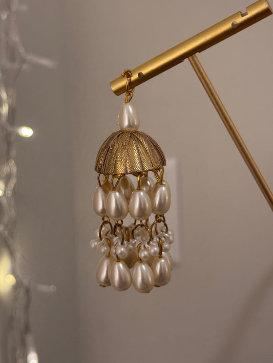 TASSEL 10