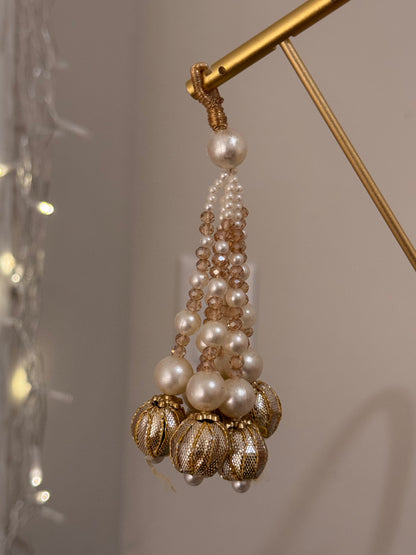 TASSEL 8