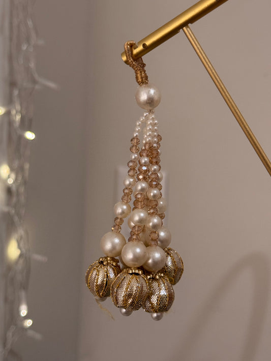 TASSEL 8